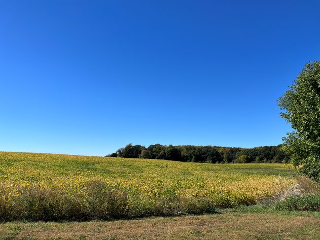 Image for Otter Tail County - Farm Land Auction