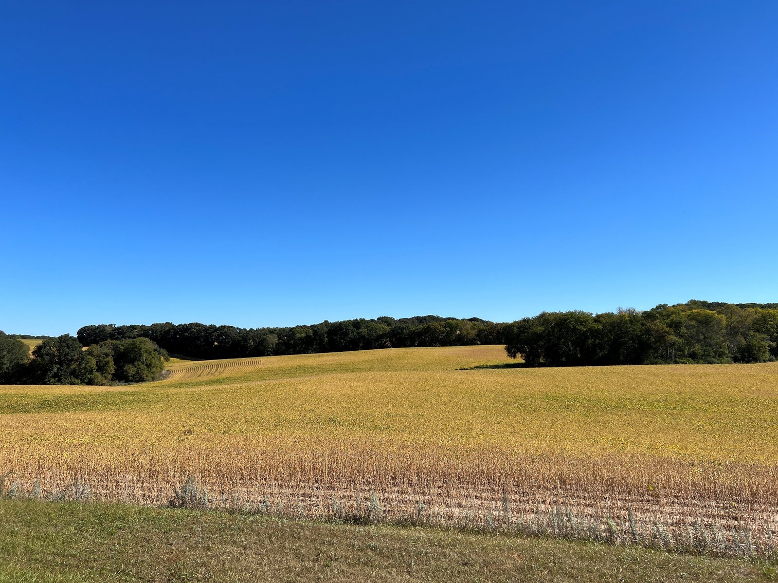 Image for Otter Tail County - Farm Land Auction