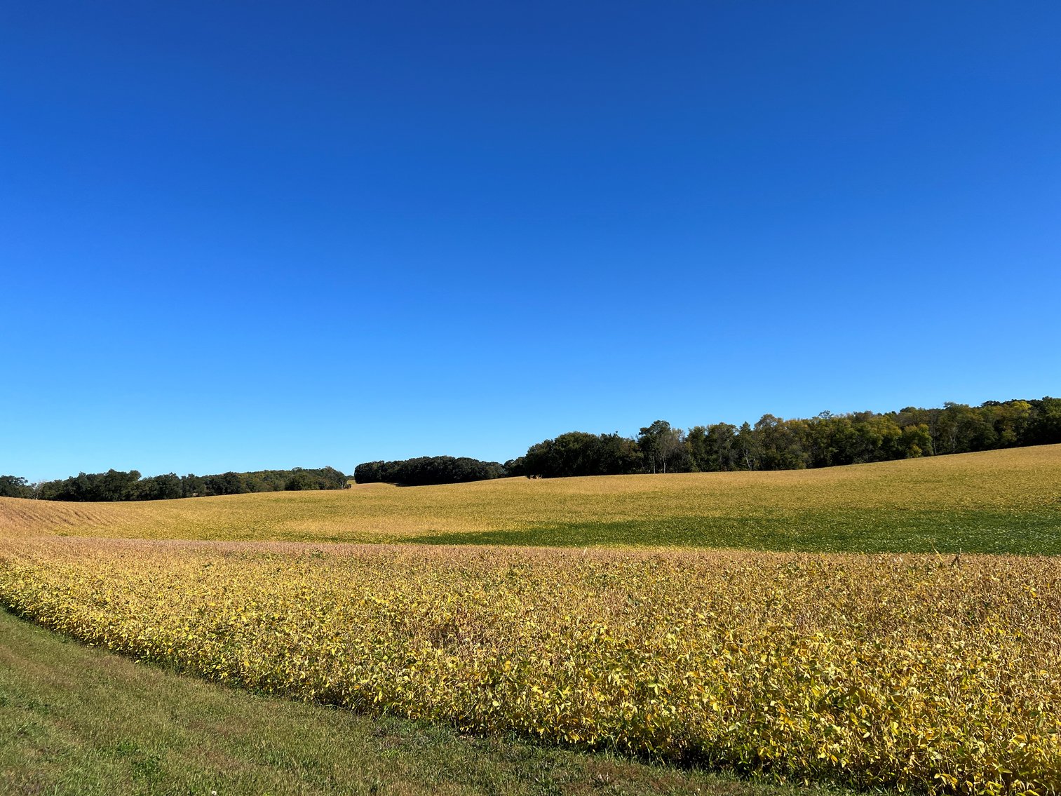 Image for Otter Tail County - Farm Land Auction