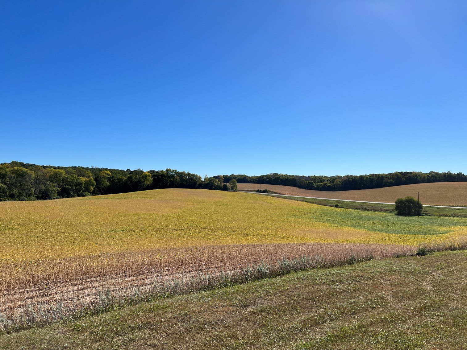 Image for Otter Tail County - Farm Land Auction