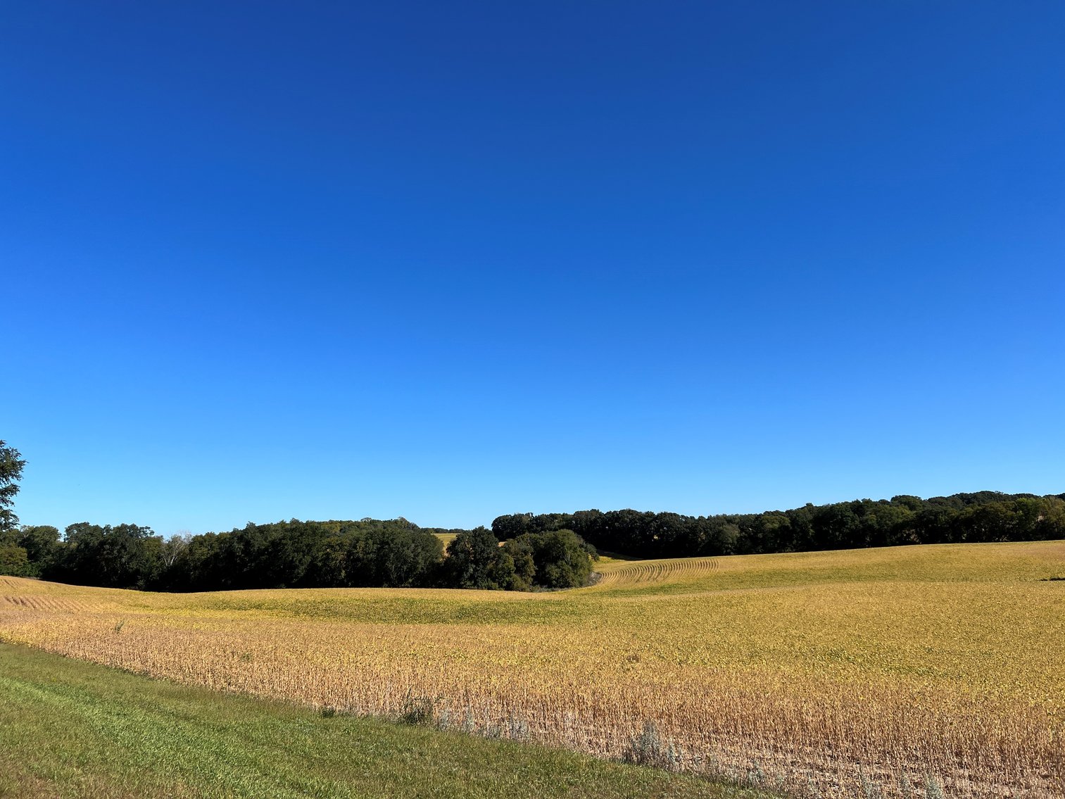 Image for Otter Tail County - Farm Land Auction
