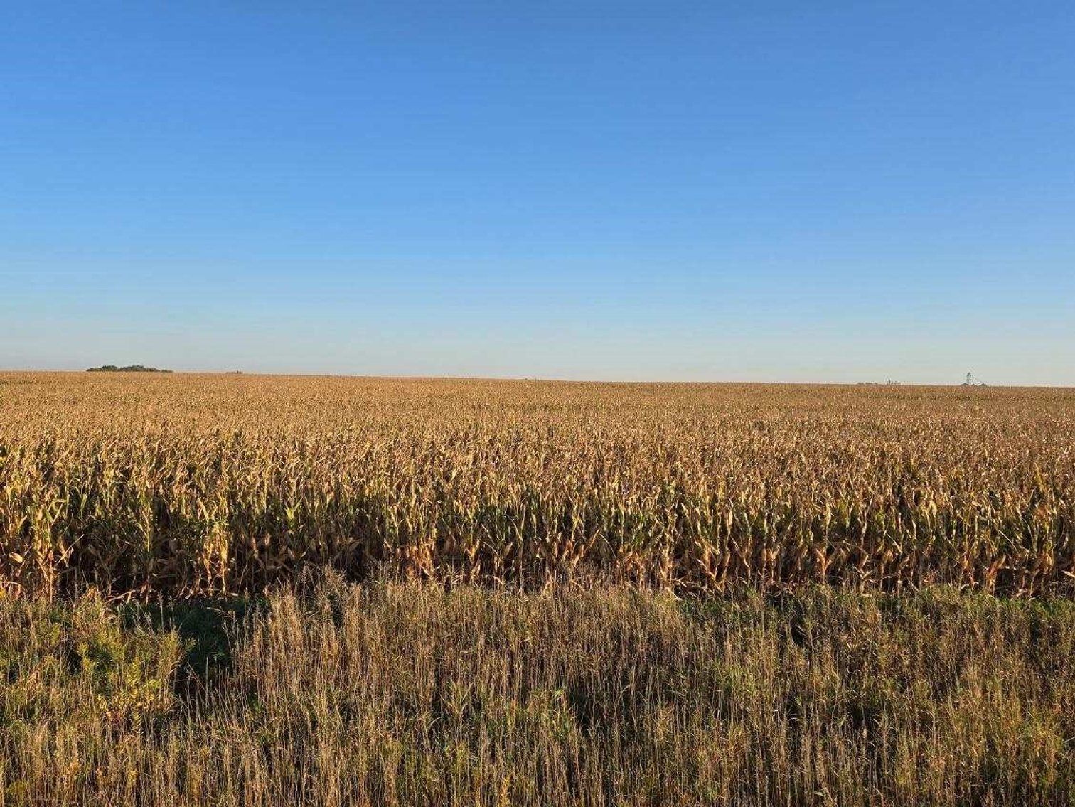 Image for Stevens County - Francis Hanrahan Estate - Farm Land Auction