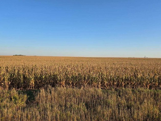 Image for Stevens County - Francis Hanrahan Estate - Farm Land Auction