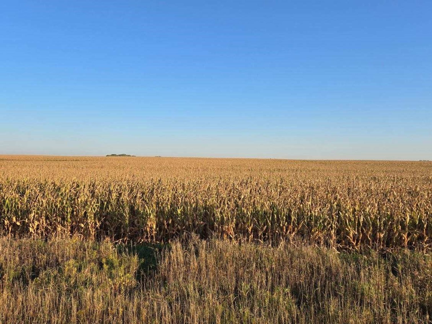 Image for Stevens County - Francis Hanrahan Estate - Farm Land Auction