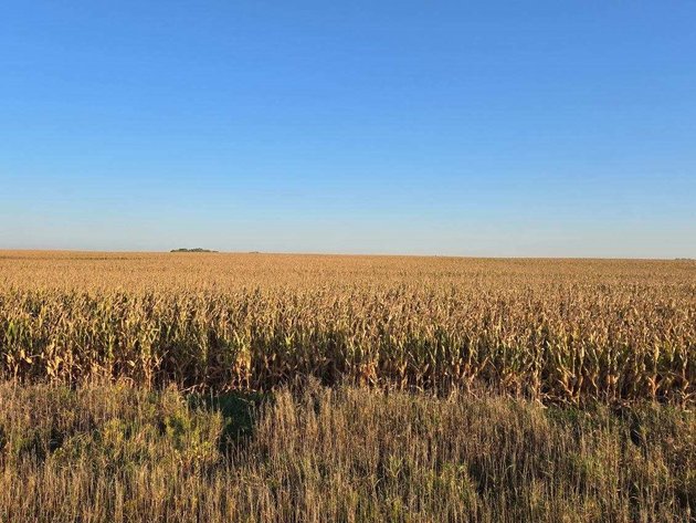 Image for Stevens County - Francis Hanrahan Estate - Farm Land Auction