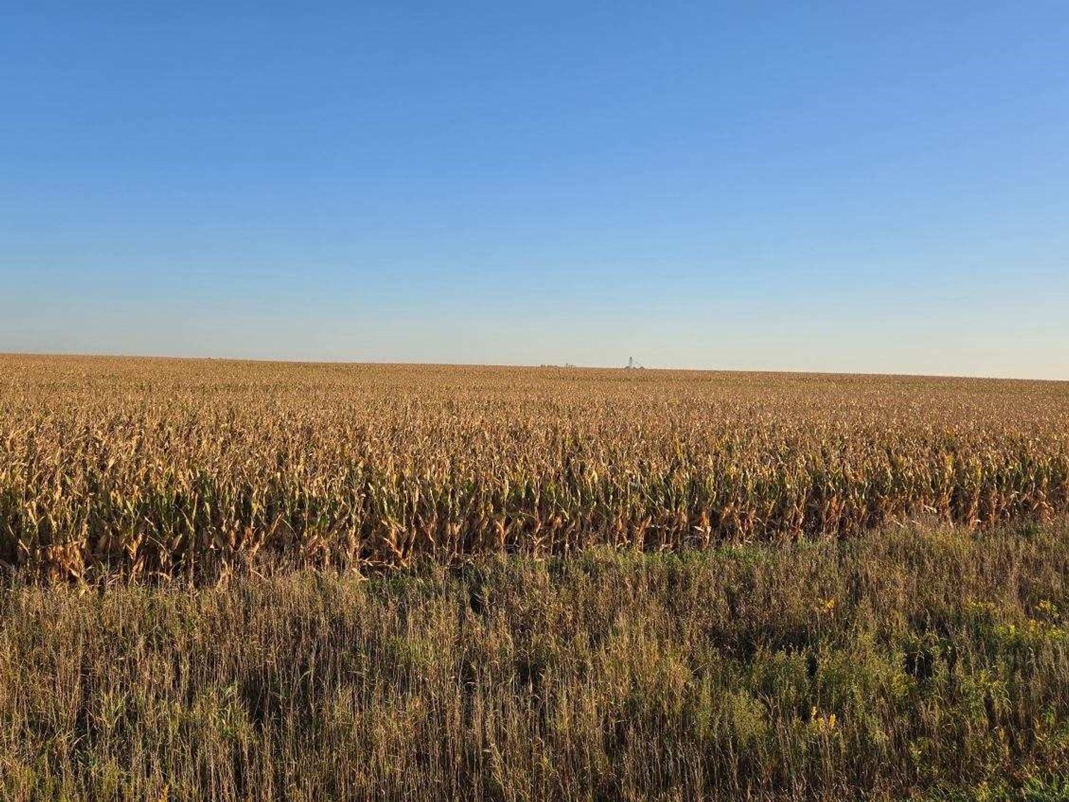 Image for Stevens County - Francis Hanrahan Estate - Farm Land Auction