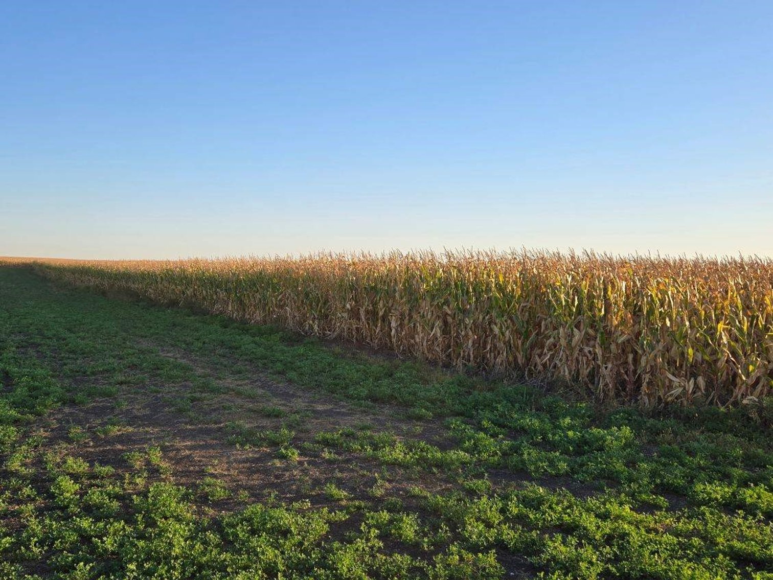 Image for Stevens County - Francis Hanrahan Estate - Farm Land Auction