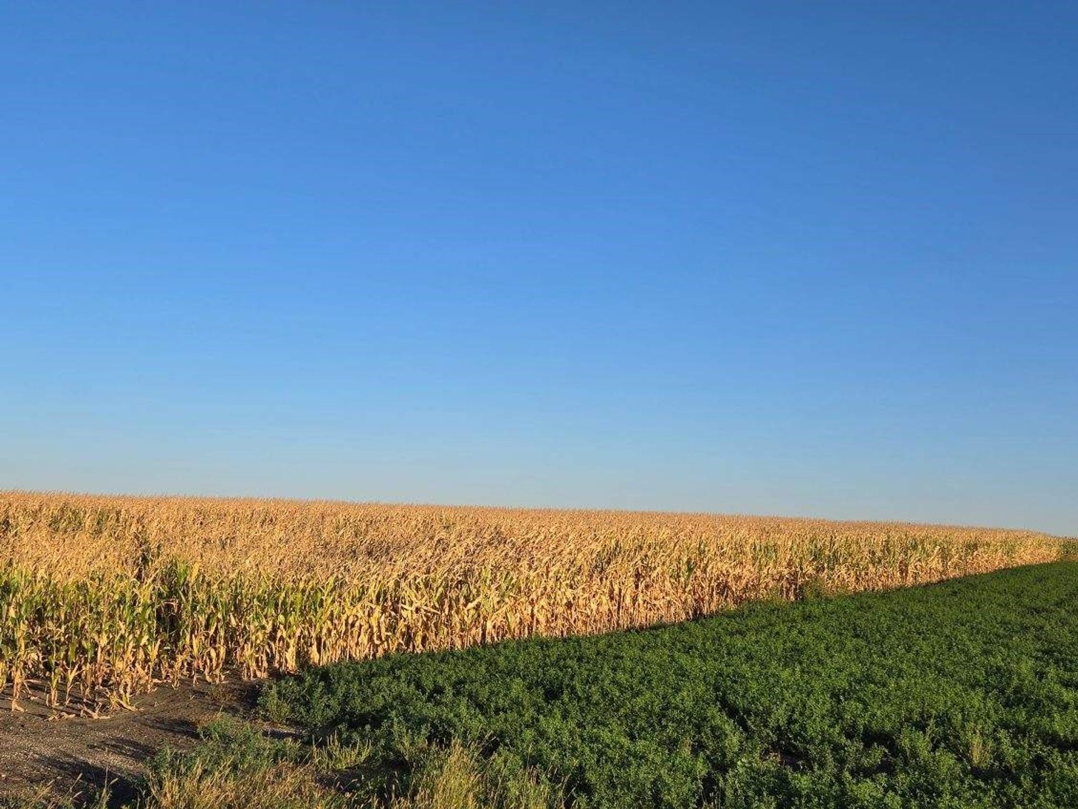 Image for Stevens County - Francis Hanrahan Estate - Farm Land Auction