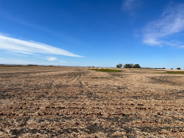 Image for Big Stone County - Farm Land Auction