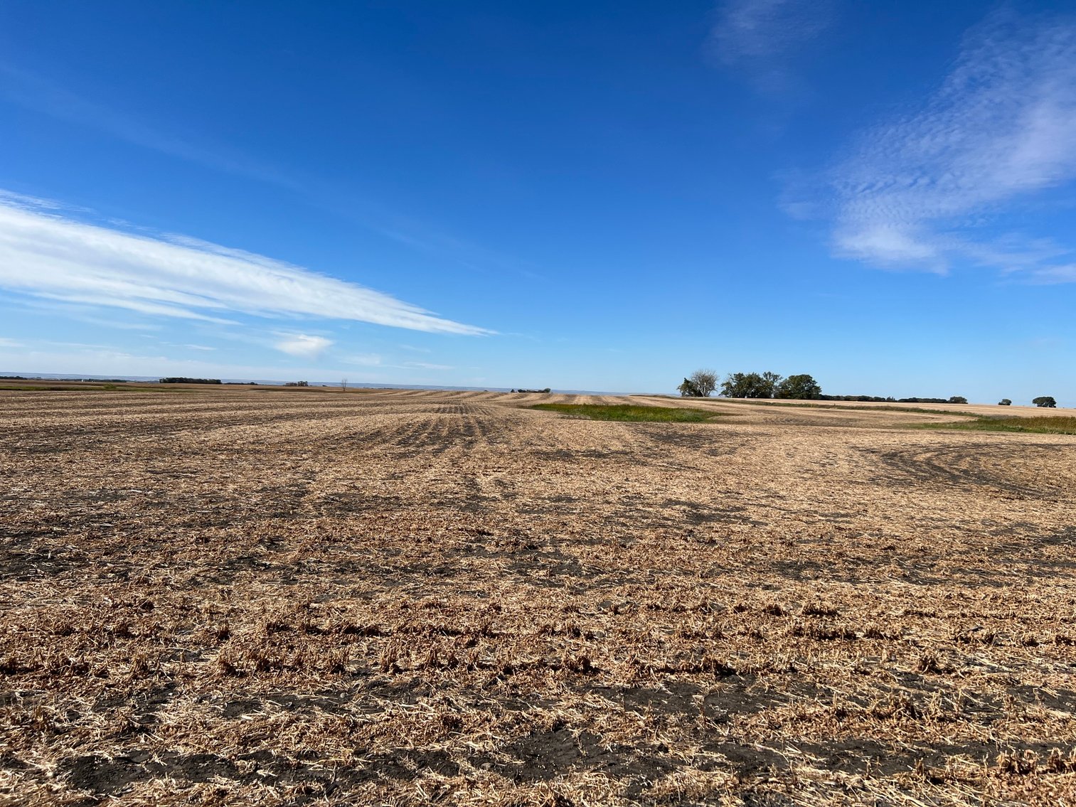 Image for Big Stone County - Farm Land Auction