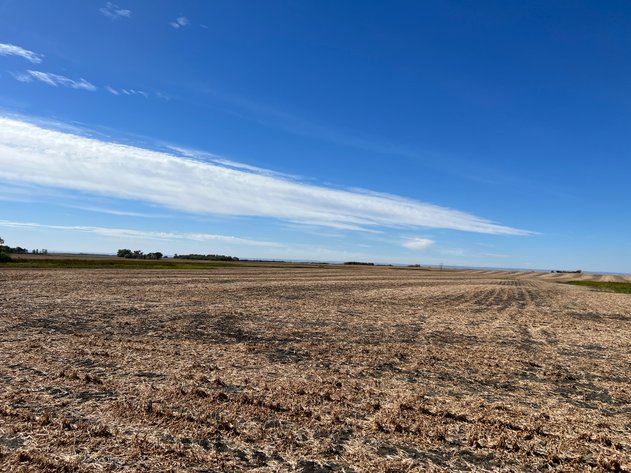 Image for Big Stone County - Farm Land Auction