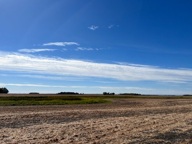 Image for Big Stone County - Farm Land Auction