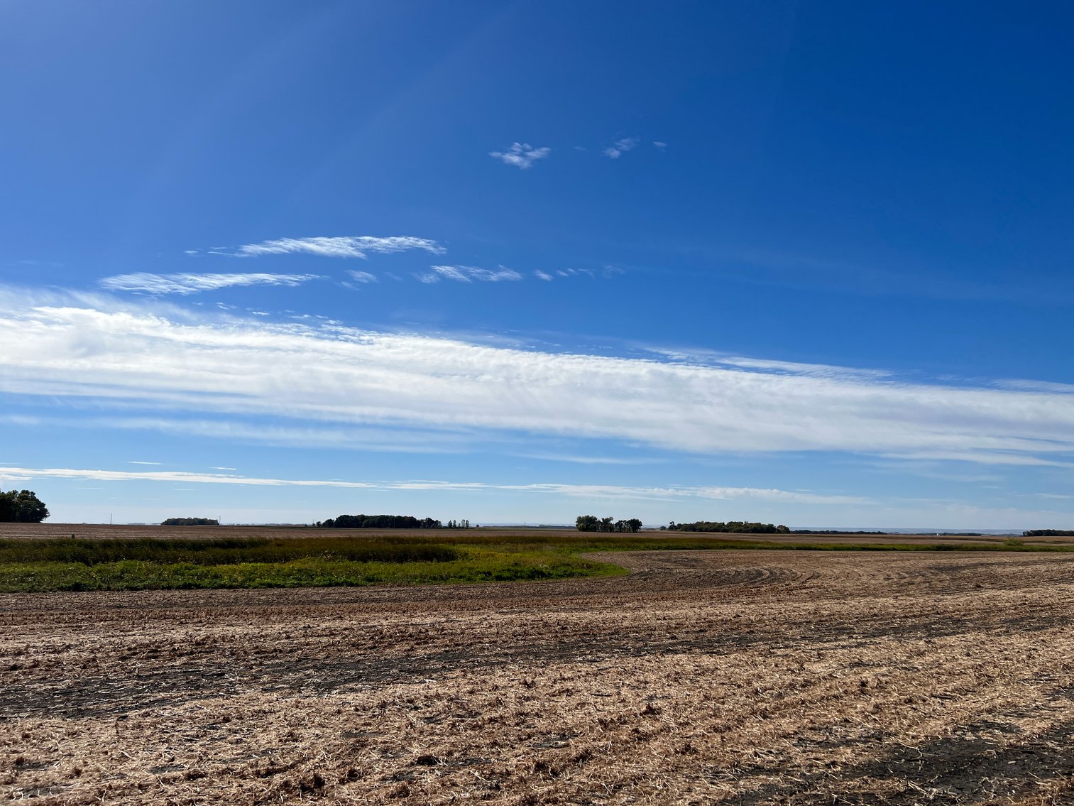 Image for Big Stone County - Farm Land Auction