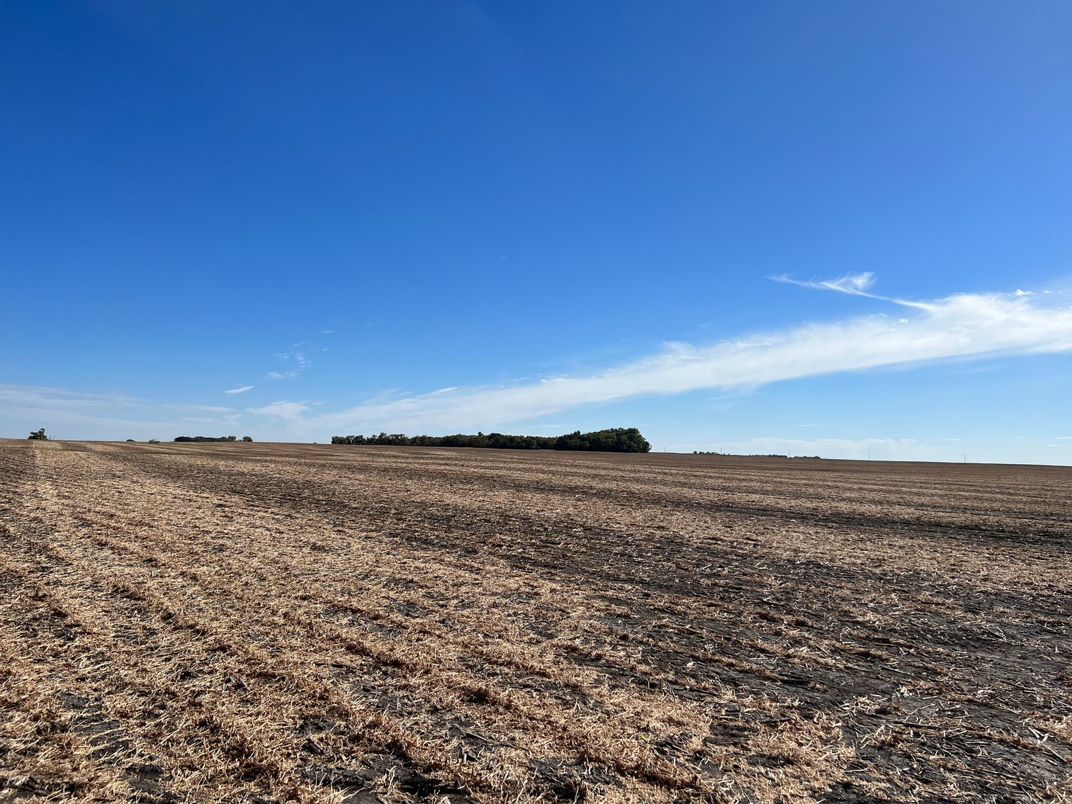 Image for Big Stone County - Farm Land Auction