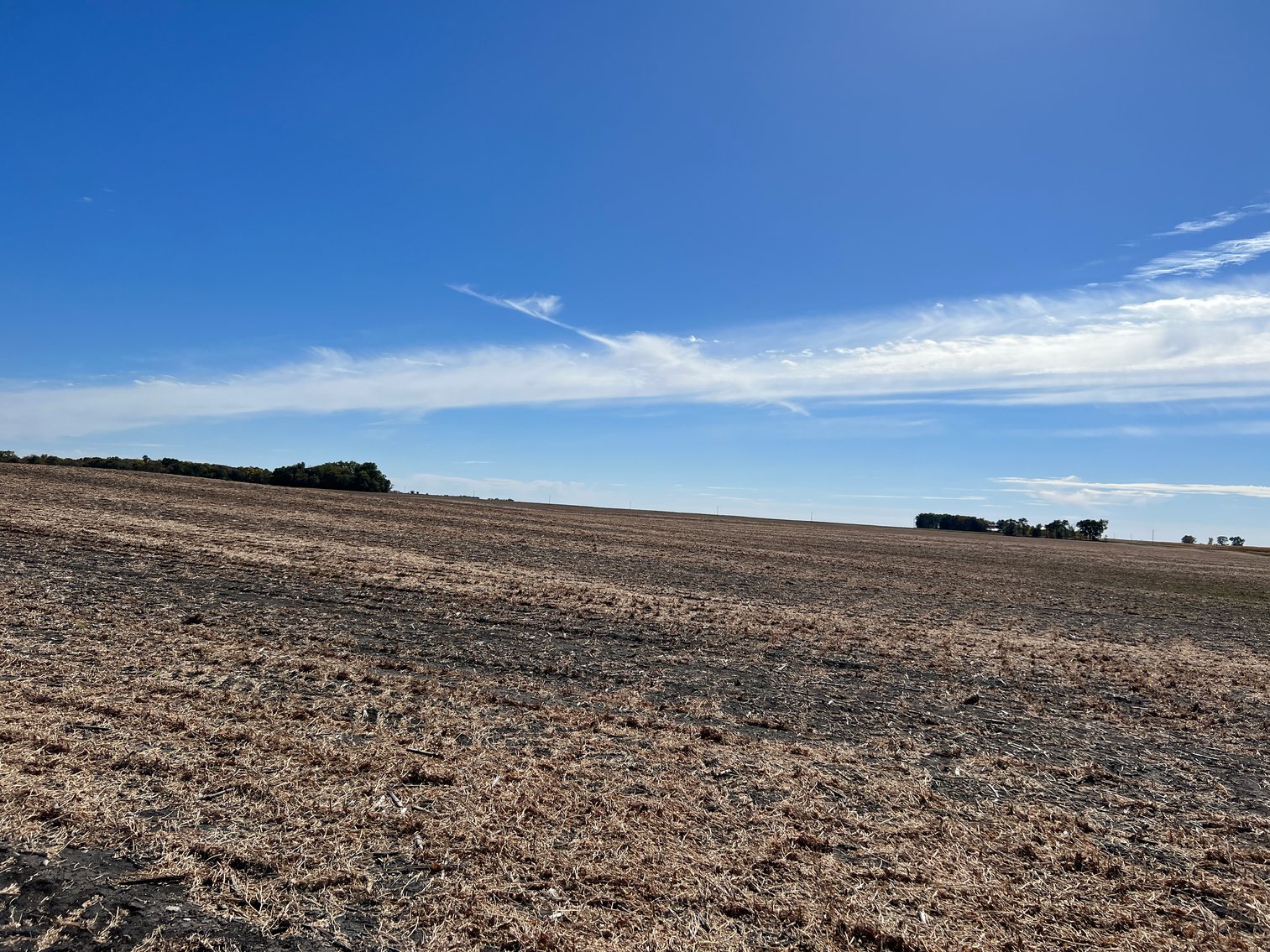 Image for Big Stone County - Farm Land Auction