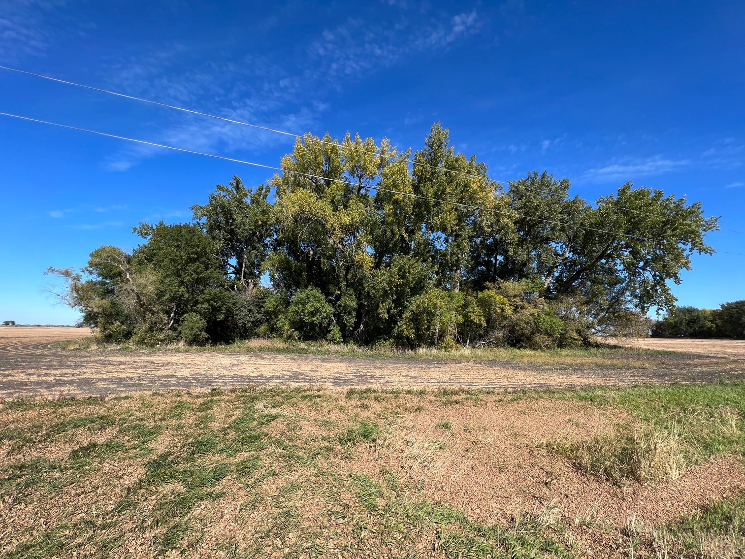 Image for Big Stone County - Farm Land Auction