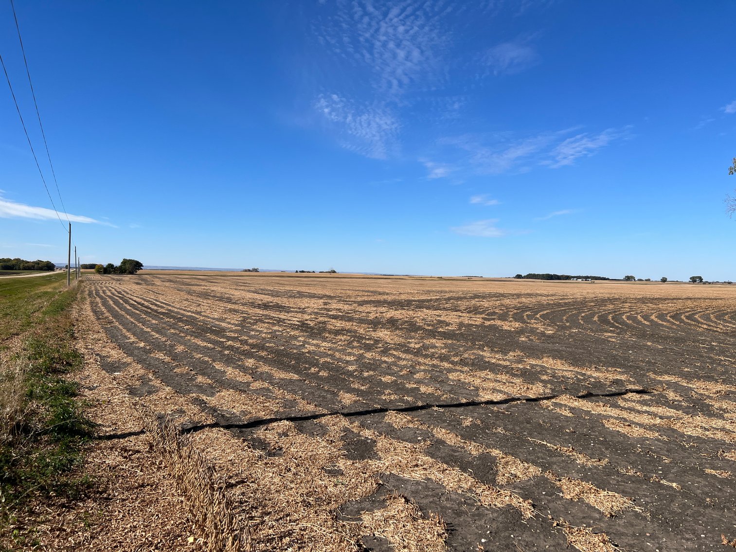 Image for Big Stone County - Farm Land Auction