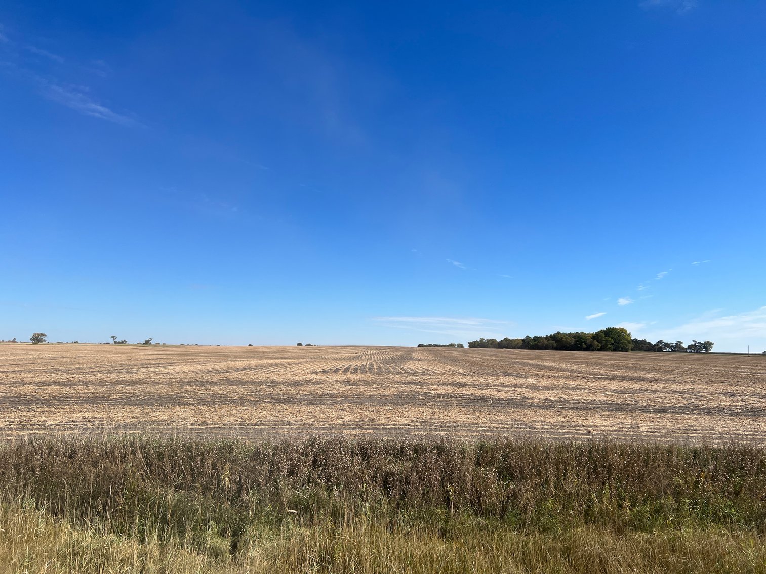 Image for Big Stone County - Farm Land Auction