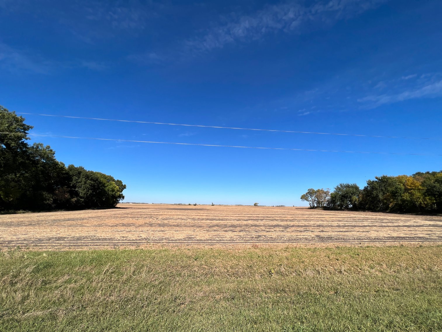 Image for Big Stone County - Farm Land Auction