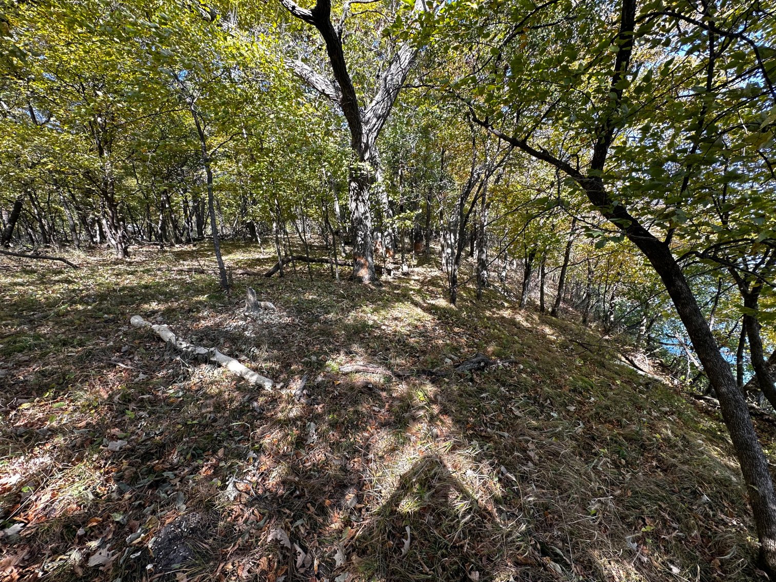 Image for Pope County - Goose Lake - Hunting/Lakeshore Land Auction