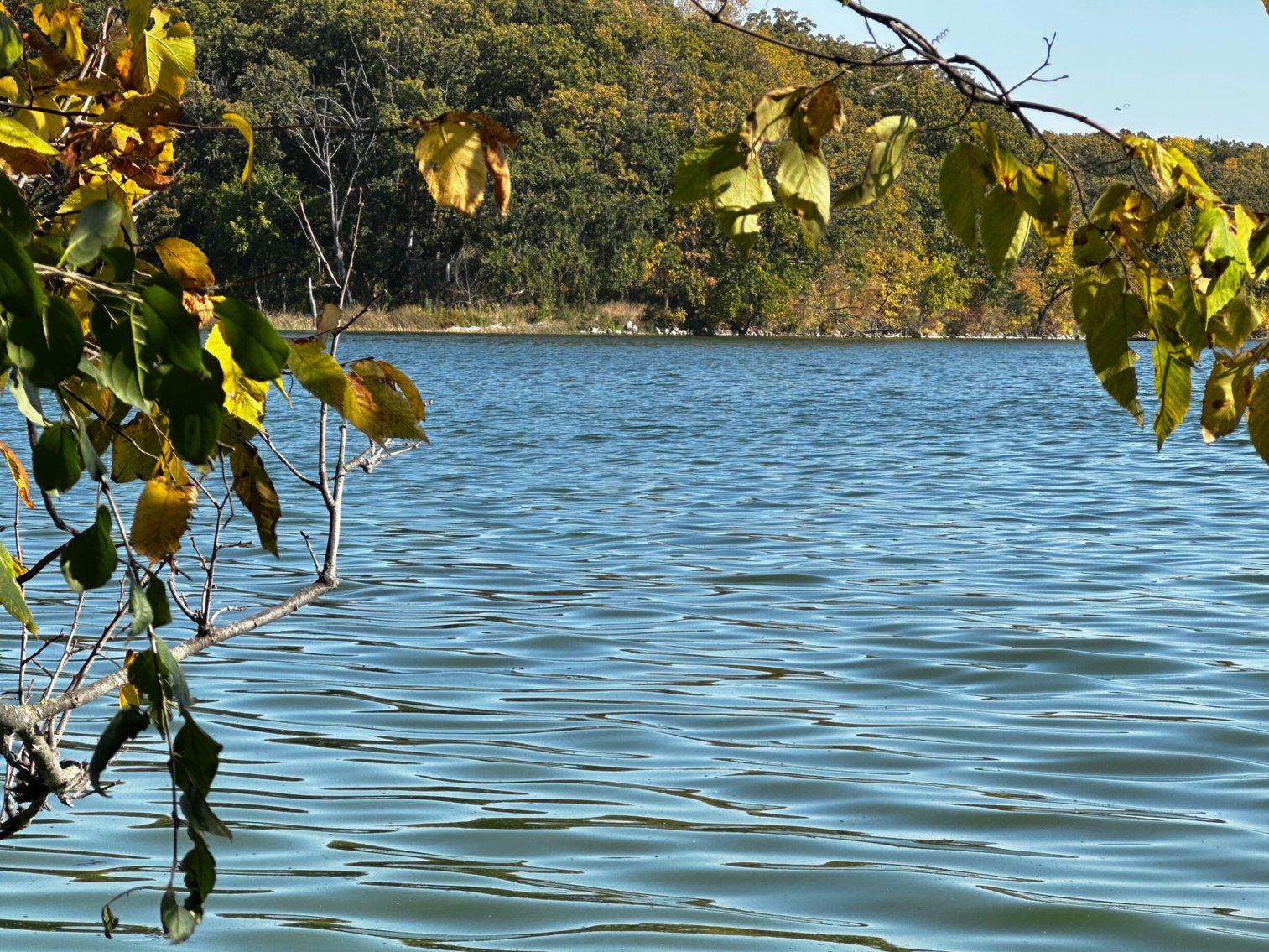 Image for Pope County - Goose Lake - Hunting/Lakeshore Land Auction