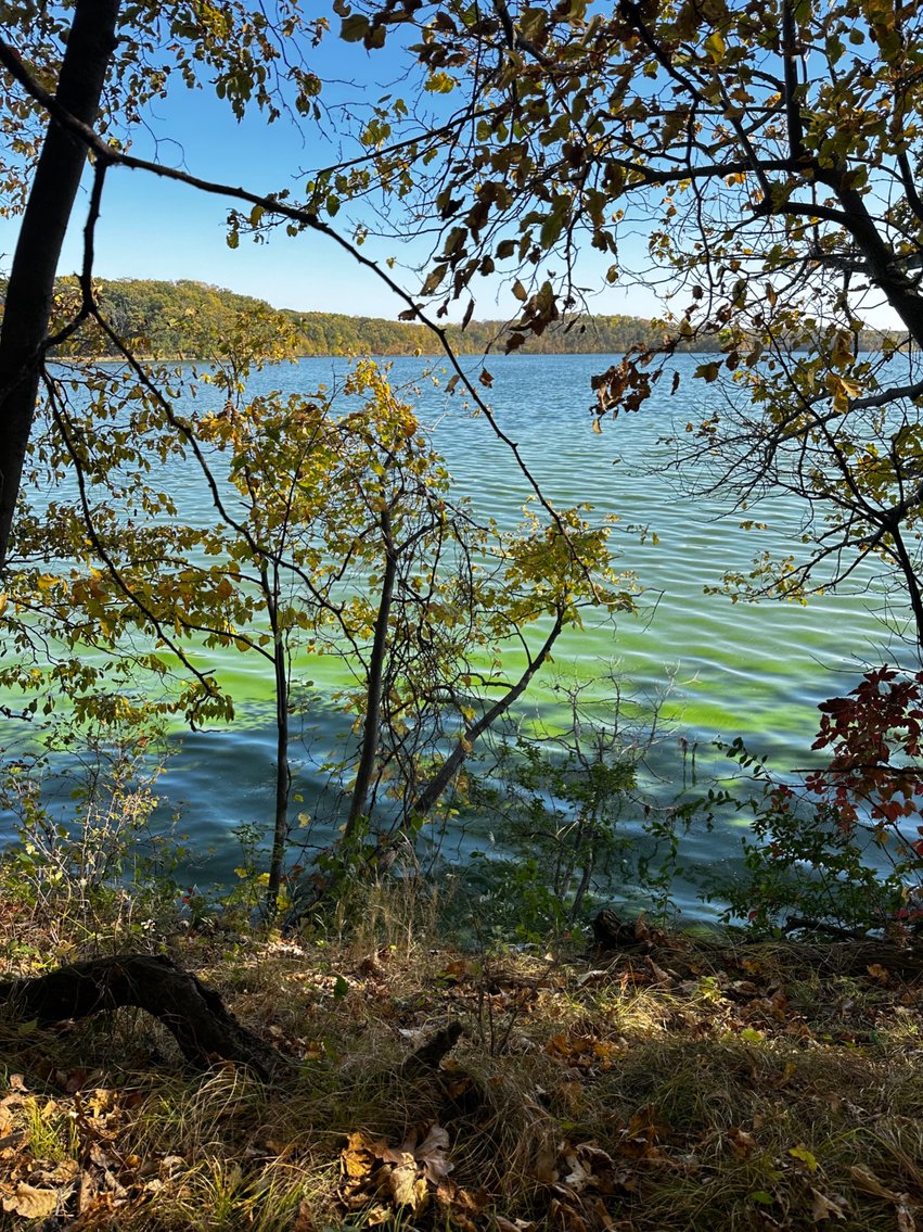 Image for Pope County - Goose Lake - Hunting/Lakeshore Land Auction