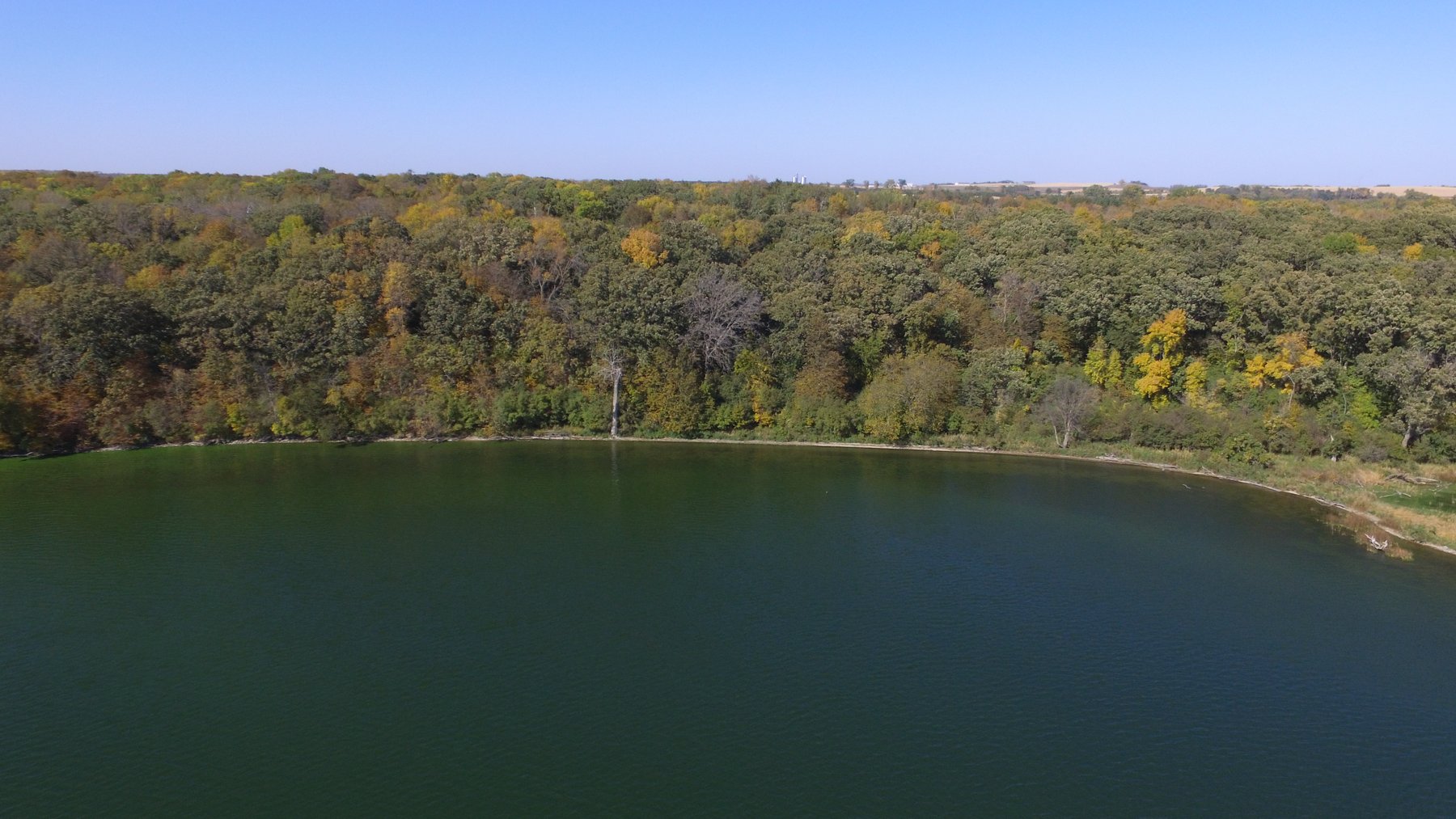 Image for Pope County - Goose Lake - Hunting/Lakeshore Land Auction