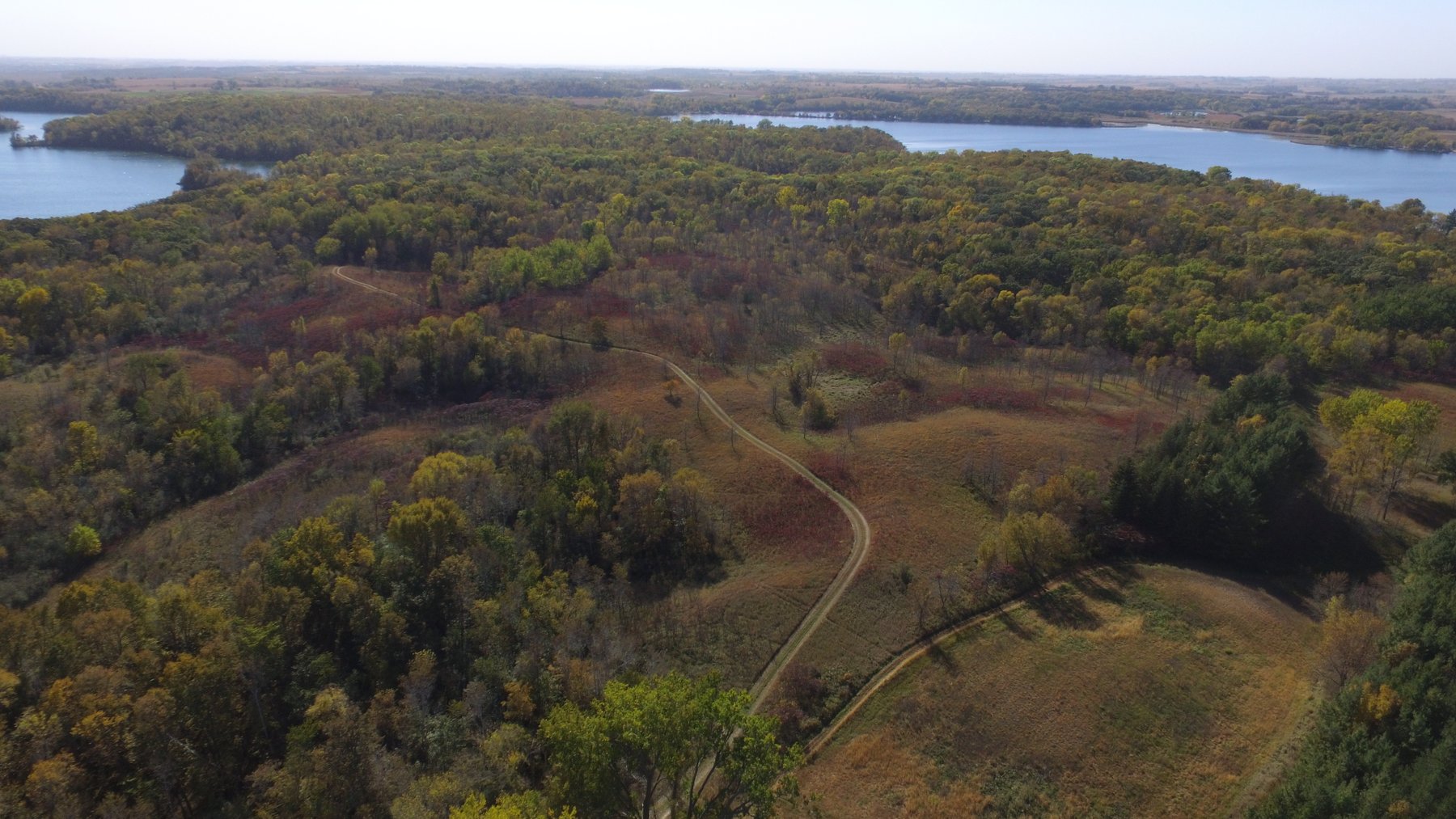 Image for Pope County - Goose Lake - Hunting/Lakeshore Land Auction