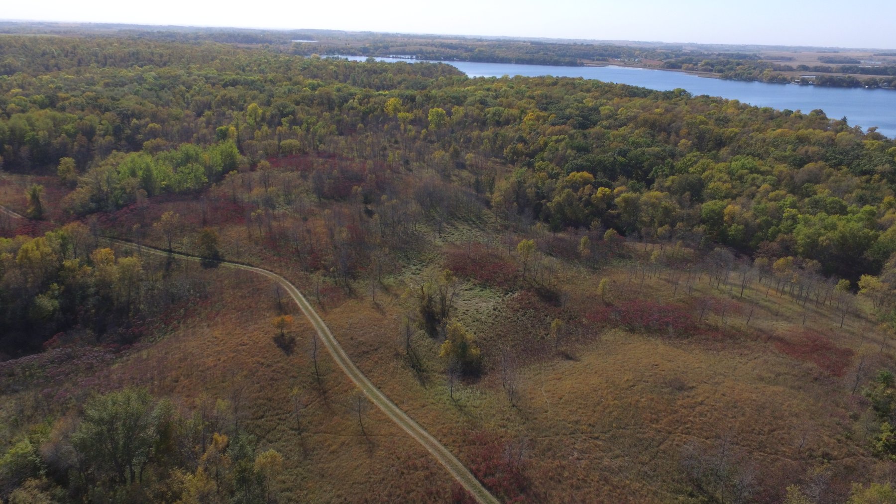 Image for Pope County - Goose Lake - Hunting/Lakeshore Land Auction