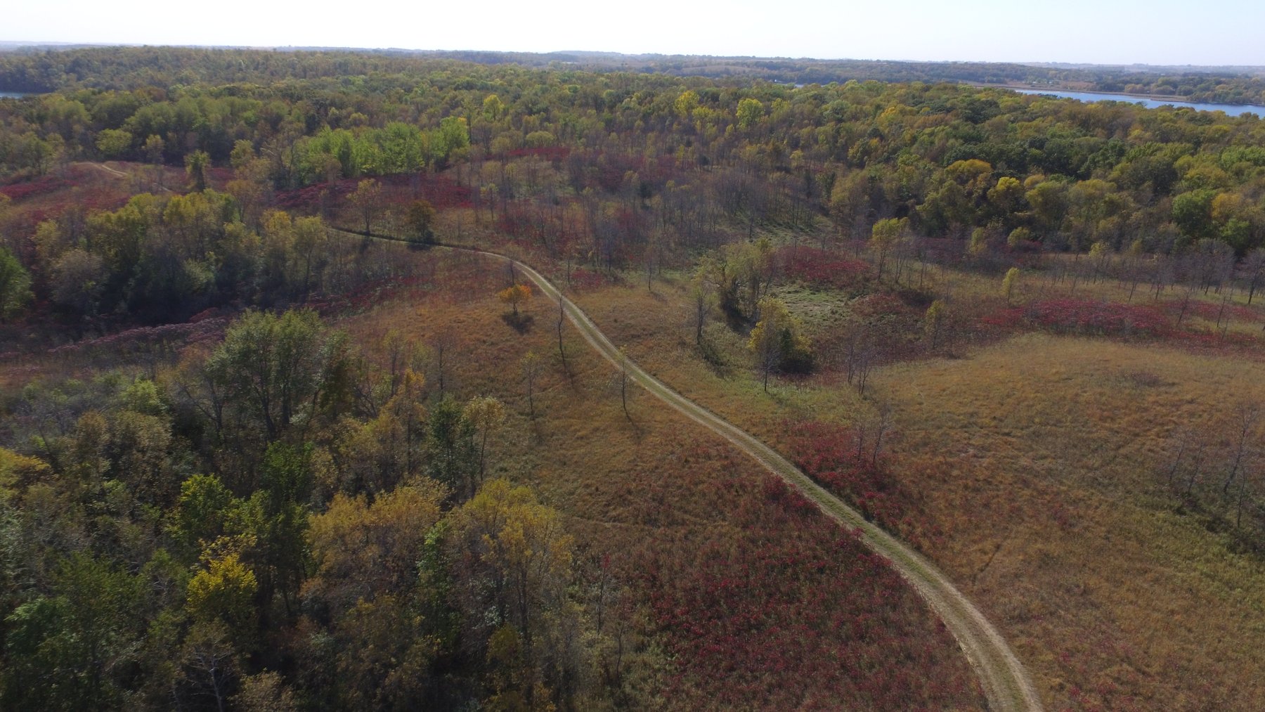 Image for Pope County - Goose Lake - Hunting/Lakeshore Land Auction