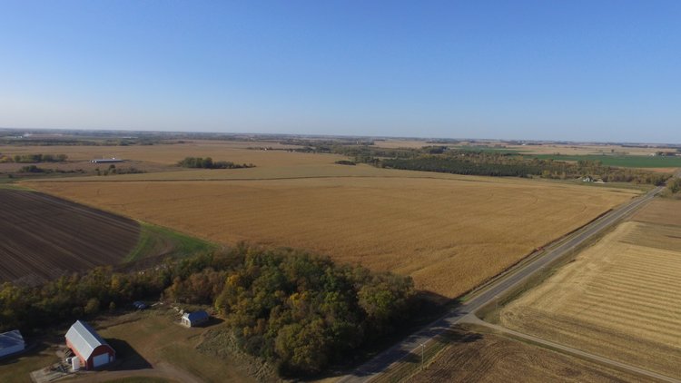 Image for Stearns County - Fuchs Family - Farm Land Auction