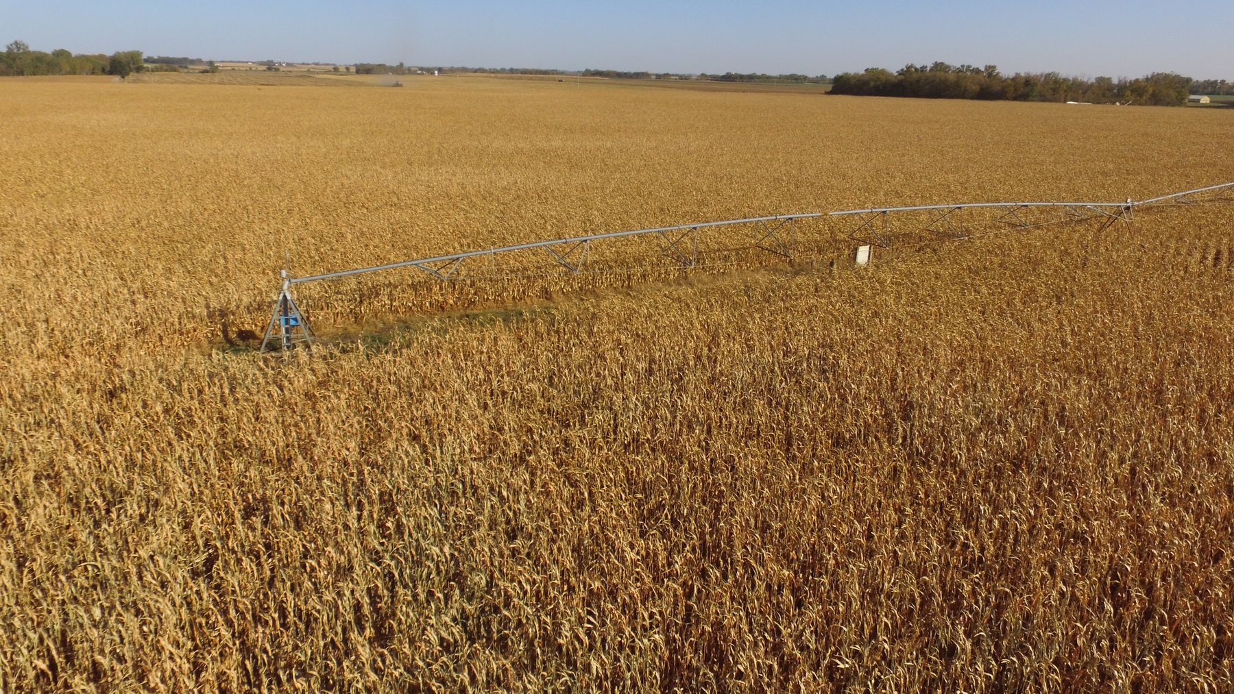 Image for Stearns County - Fuchs Family - Farm Land Auction