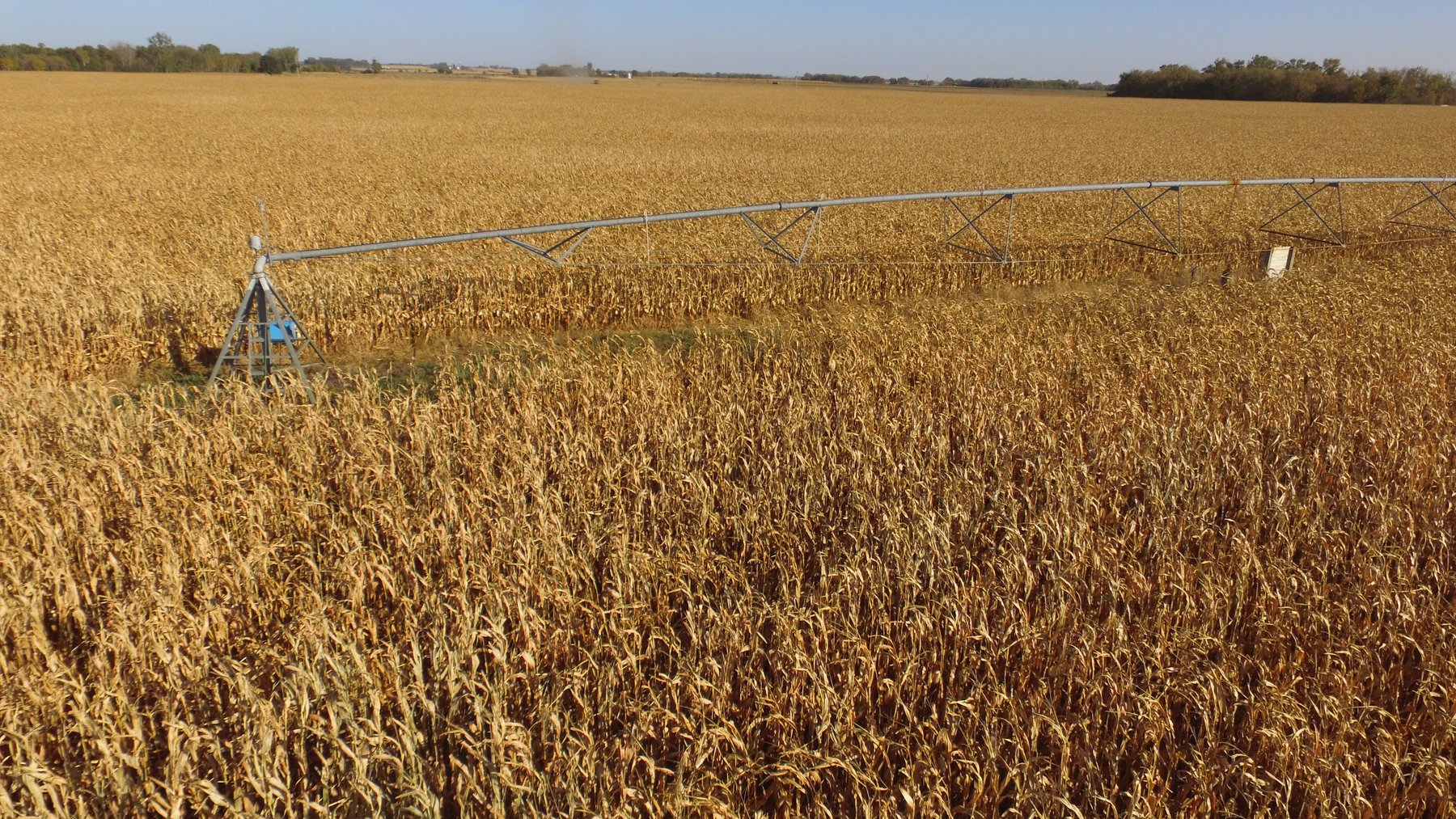Image for Stearns County - Fuchs Family - Farm Land Auction
