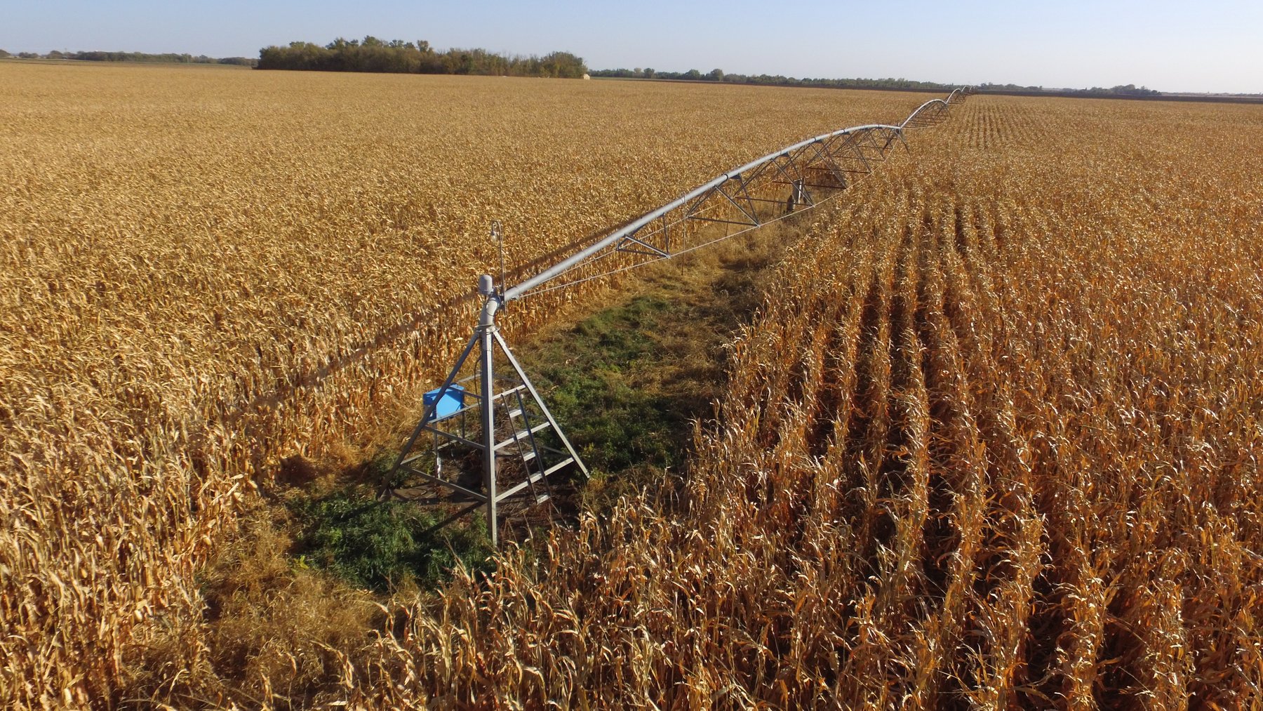 Image for Stearns County - Fuchs Family - Farm Land Auction