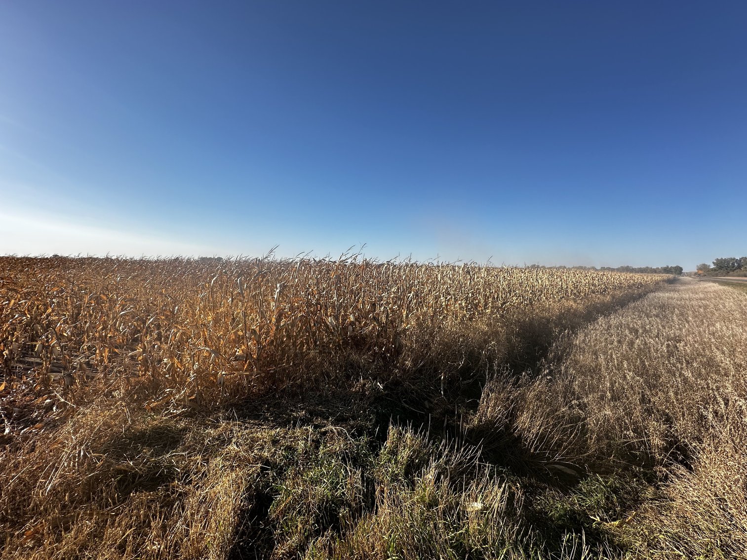 Image for Stearns County - Fuchs Family - Farm Land Auction