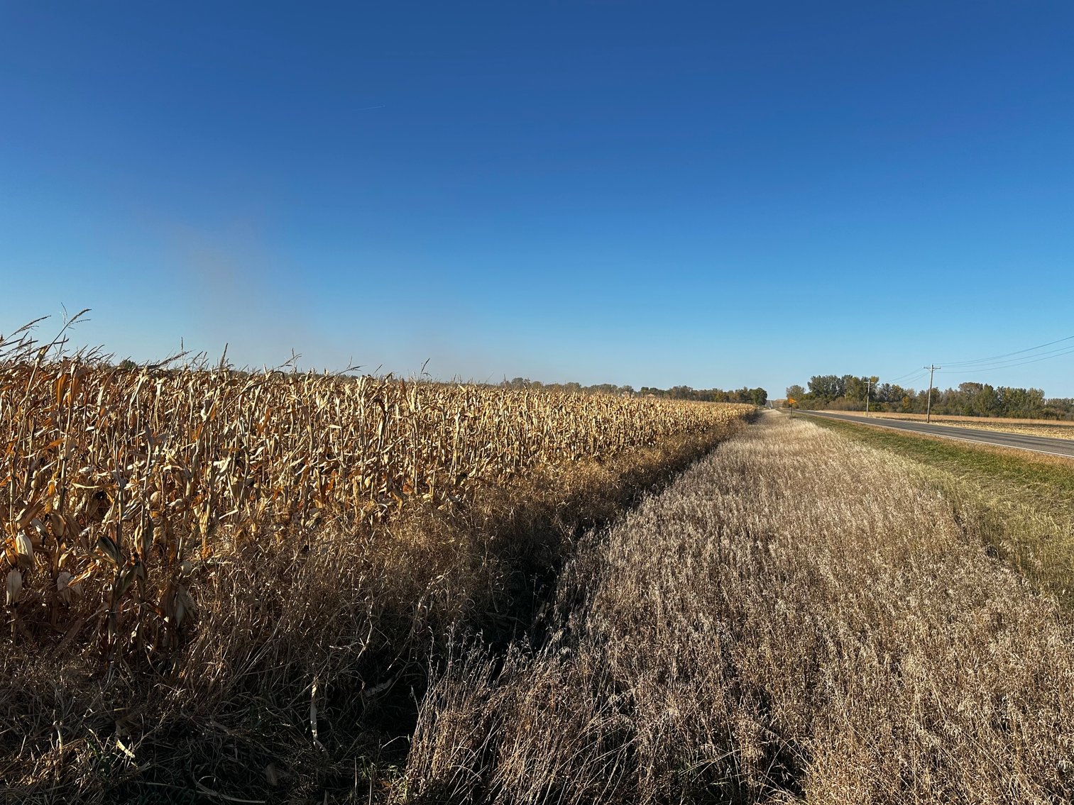 Image for Stearns County - Fuchs Family - Farm Land Auction