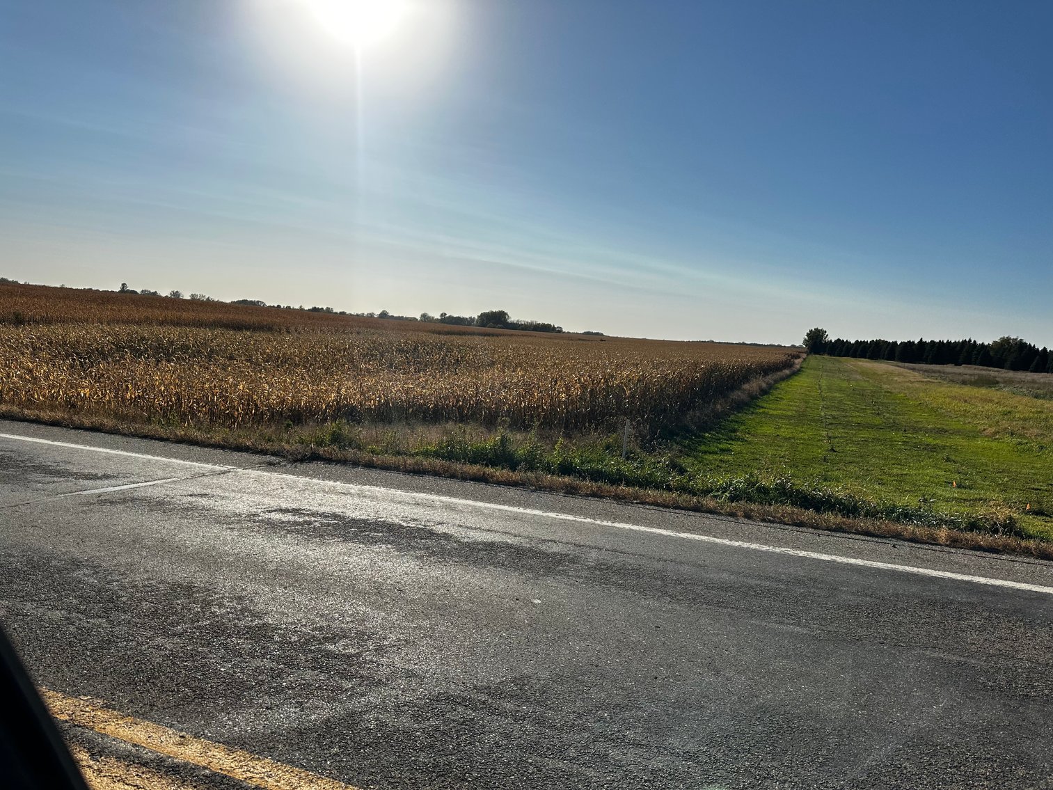 Image for Stearns County - Fuchs Family - Farm Land Auction