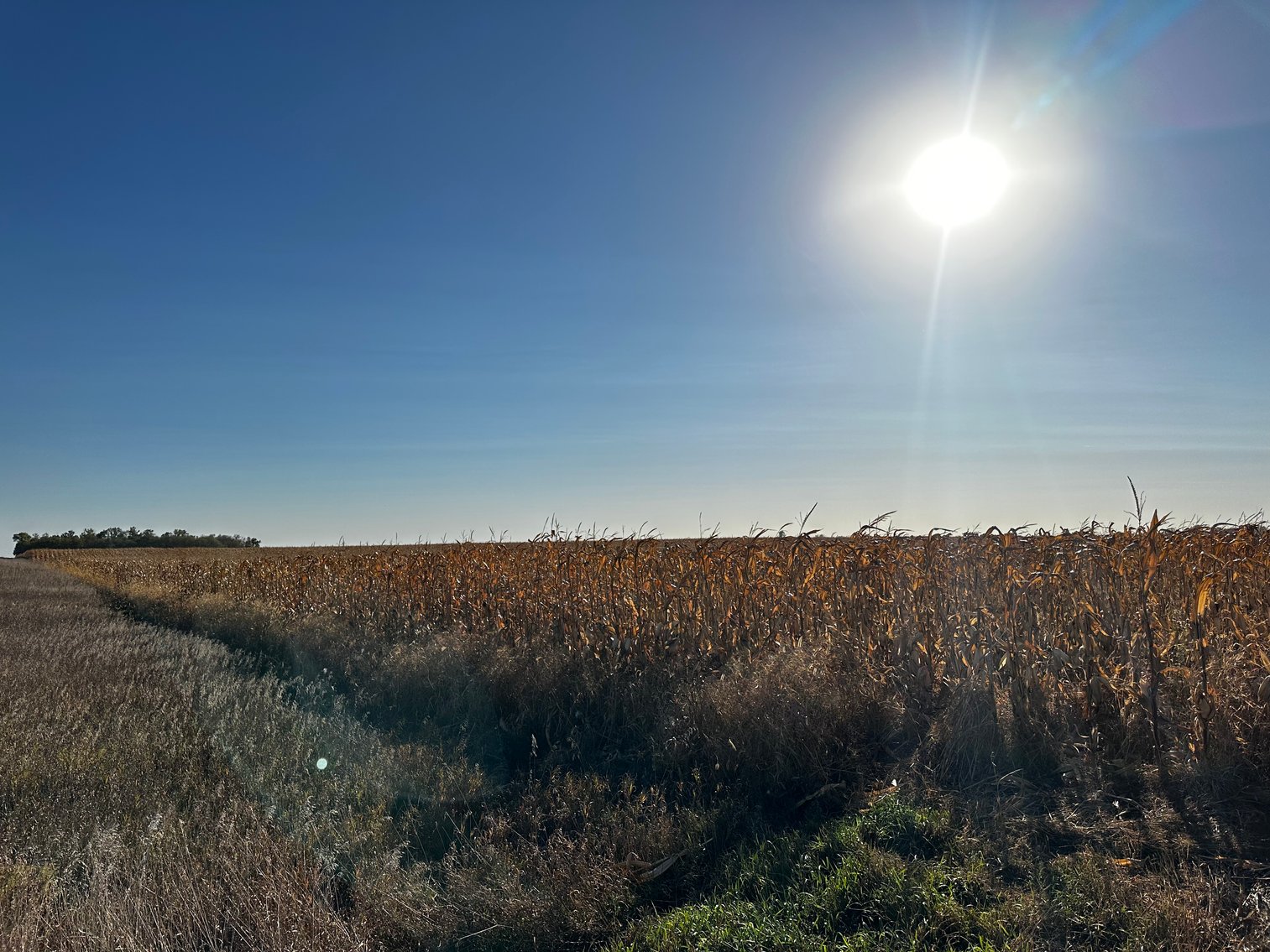 Image for Stearns County - Fuchs Family - Farm Land Auction