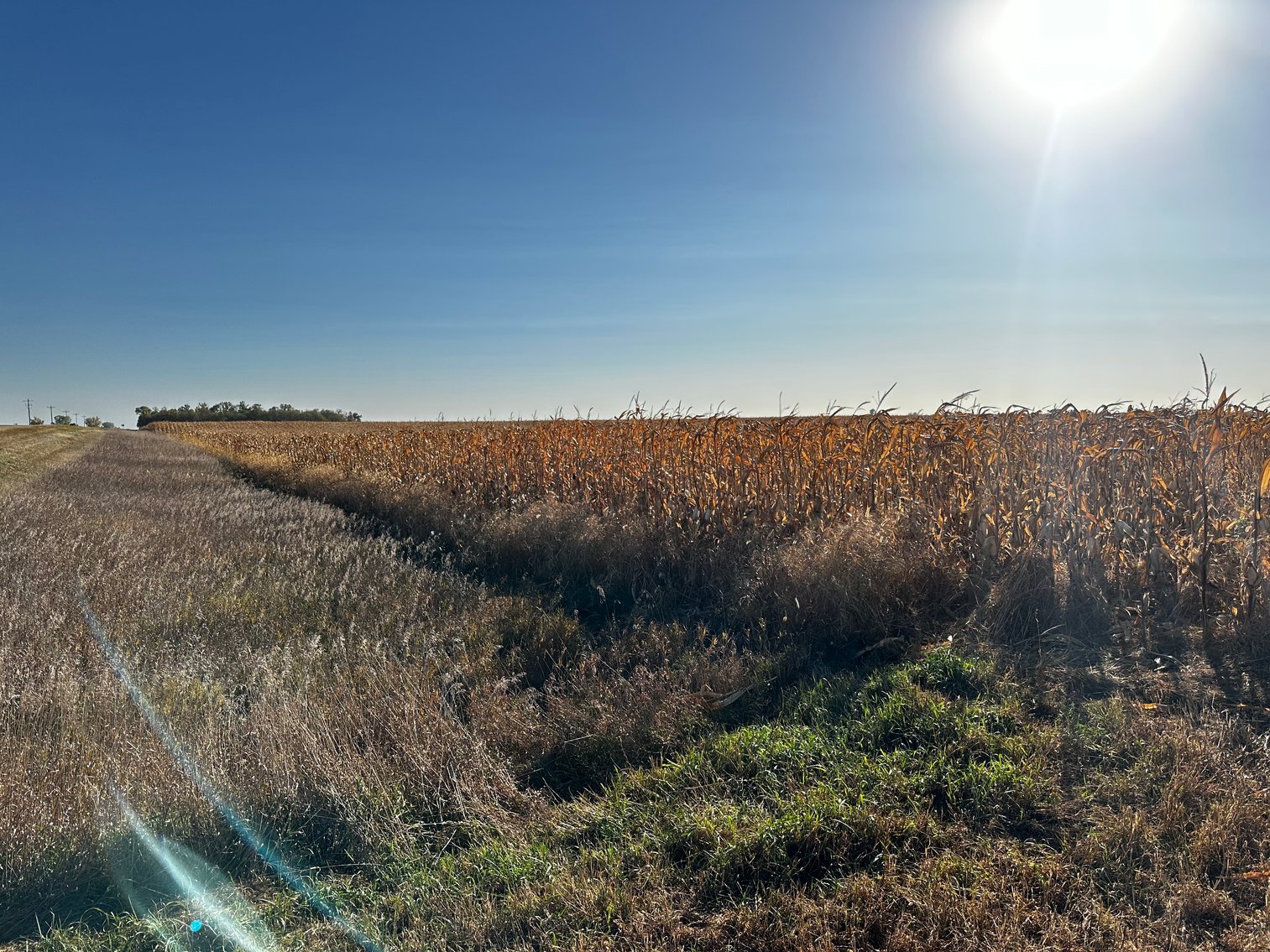 Image for Stearns County - Fuchs Family - Farm Land Auction