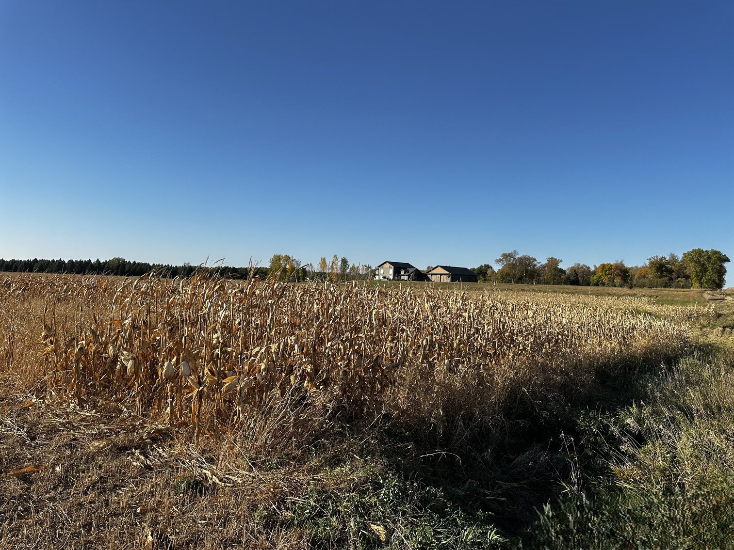 Image for Stearns County - Fuchs Family - Farm Land Auction