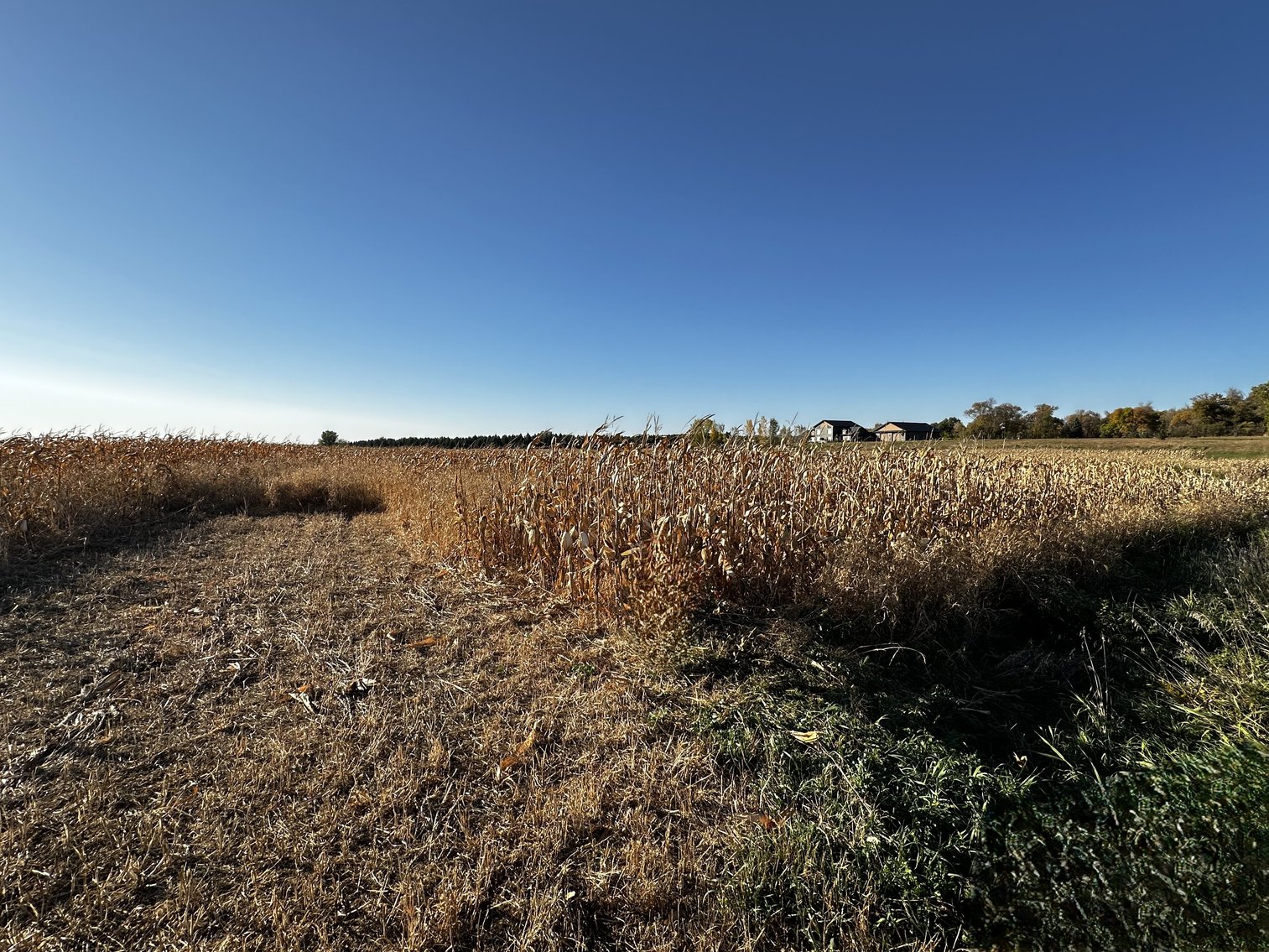 Image for Stearns County - Fuchs Family - Farm Land Auction