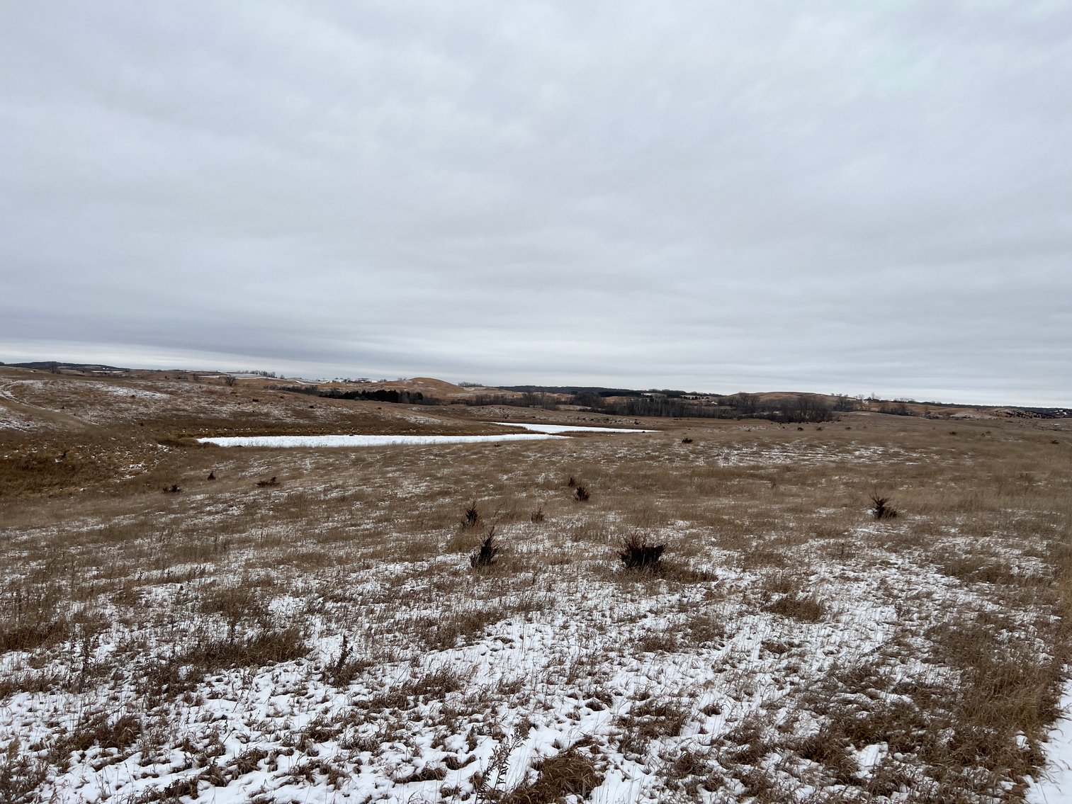 Image for Pope County - Patrick & Jenessa Huston - Pasture/Hunting Land Auction