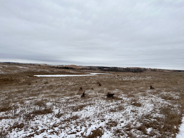 Image for Pope County - Patrick & Jenessa Huston - Pasture/Hunting Land Auction