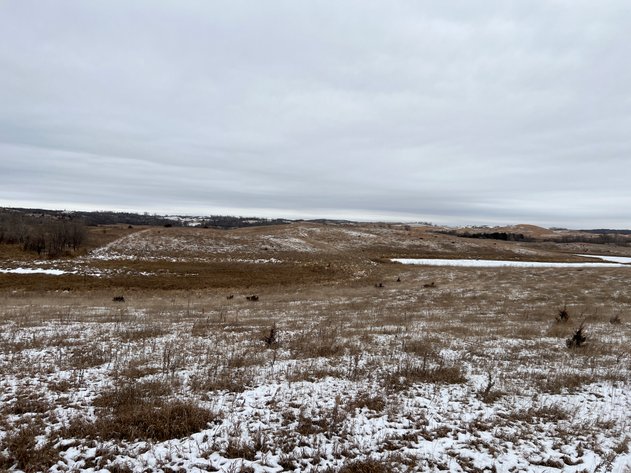 Image for Pope County - Patrick & Jenessa Huston - Pasture/Hunting Land Auction