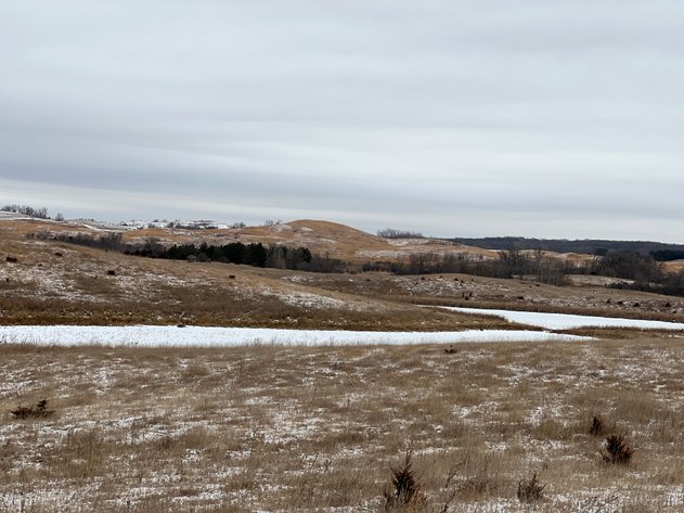 Image for Pope County - Patrick & Jenessa Huston - Pasture/Hunting Land Auction