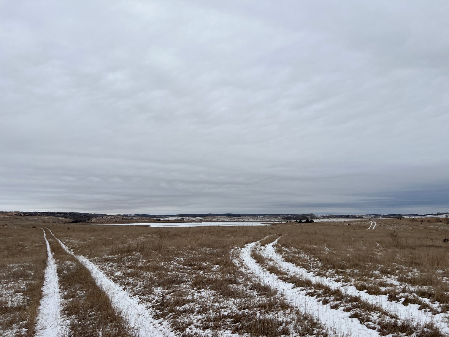 Image for Pope County - Patrick & Jenessa Huston - Pasture/Hunting Land Auction