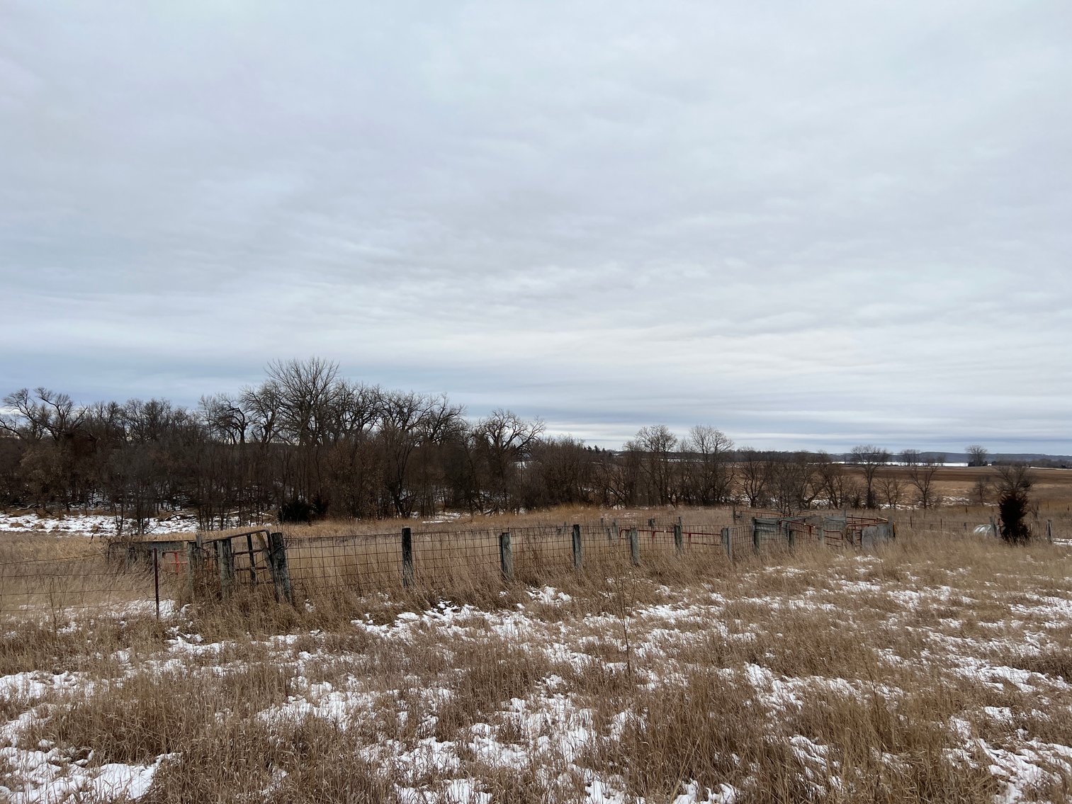 Image for Pope County - Patrick & Jenessa Huston - Pasture/Hunting Land Auction