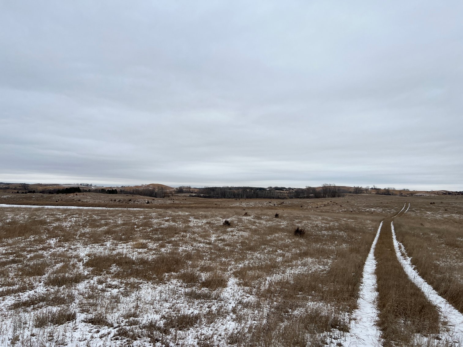 Image for Pope County - Patrick & Jenessa Huston - Pasture/Hunting Land Auction