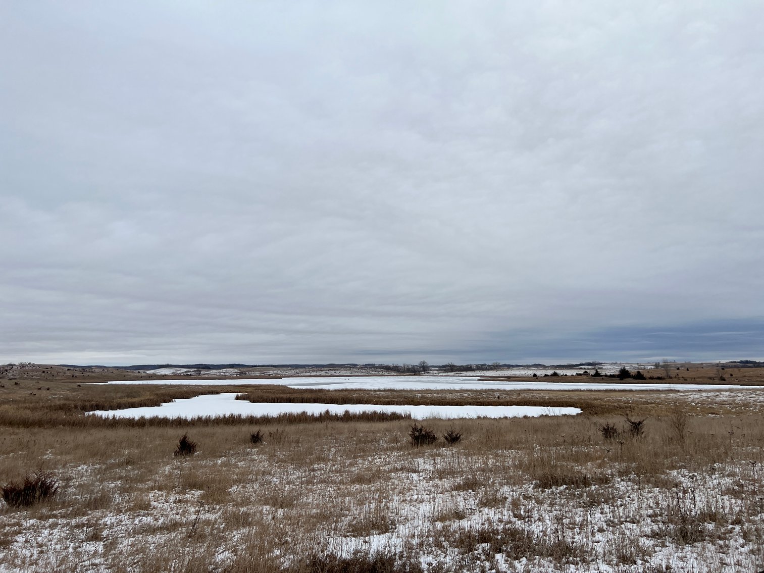Image for Pope County - Patrick & Jenessa Huston - Pasture/Hunting Land Auction