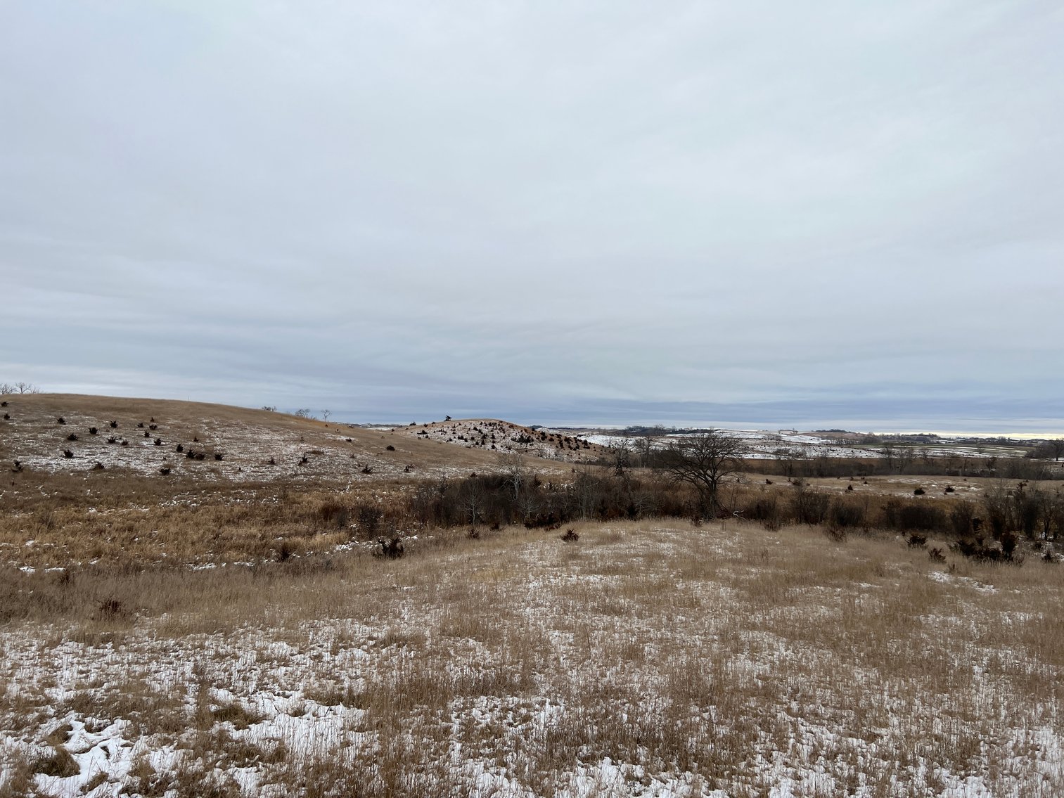 Image for Pope County - Patrick & Jenessa Huston - Pasture/Hunting Land Auction